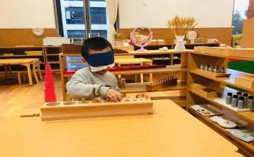 蒙氏教学活动总结模板8篇