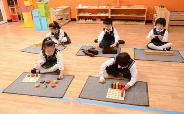 幼儿园小班蒙氏教学总结优秀6篇