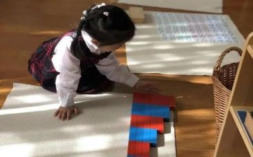 幼儿园小班蒙氏教学总结通用8篇