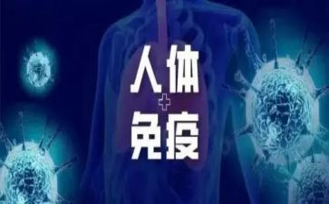 计划免疫科的个人总结7篇