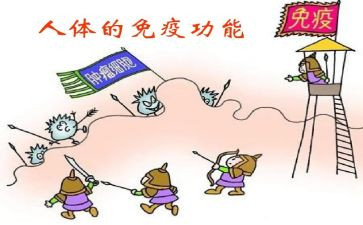 免疫组工作计划推荐6篇