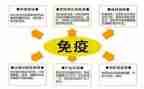 计划免疫工作计划与总结8篇