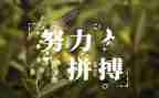 名人的写人作文优质7篇