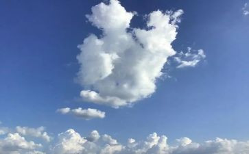 致明天的我作文模板8篇