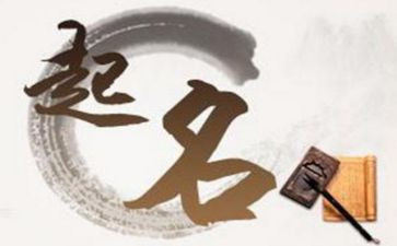 写名字的来历的作文6篇