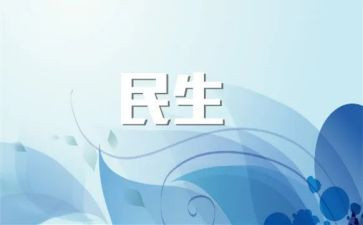 民生工作总结5篇