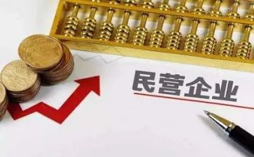 民营企业股工作总结6篇