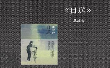 《目送》读后感参考5篇