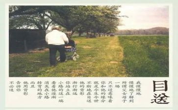 《目送》读后感优秀8篇