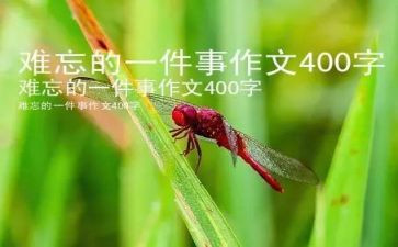 难忘的一件事作文600字8篇