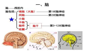 卖电脑心得体会模板6篇