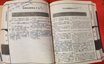 内经的心得体会5篇