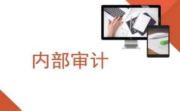 内审计工作总结通用7篇