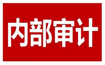 财务内审自查报告6篇