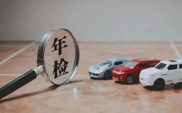 2024学校年检工作总结5篇