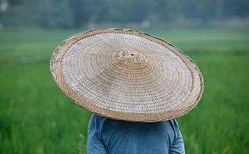 农夫与蛇的读后感6篇
