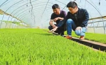 乡农技站年度工作总结6篇