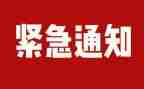 小学校园安全大排查工作总结5篇