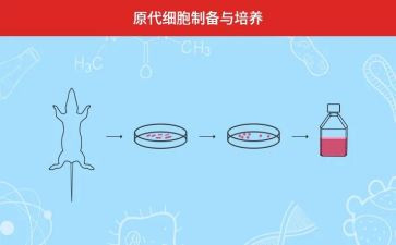 培养青年教师工作总结范文7篇