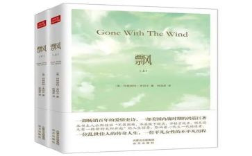 飘的读后感300字最新7篇