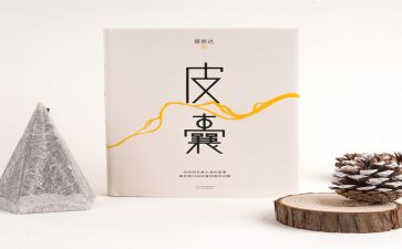 关于皮囊的读书心得5篇