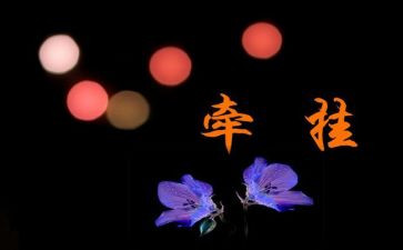 最牵挂的人是你作文5篇