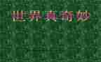 作文奇妙的大自然300字5篇
