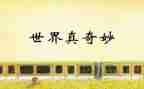 奇妙假期的读后感5篇