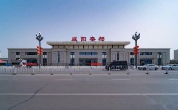 秦都区春节活动总结最新5篇