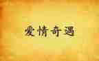 《乌丢丢的奇遇》读后感300字6篇