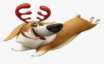 犬只宣传工作总结最新7篇