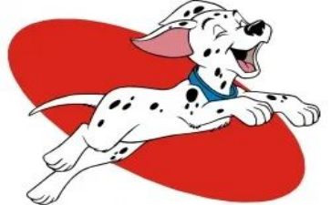 犬只宣传工作总结通用6篇