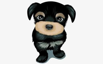 养看护犬工作总结8篇