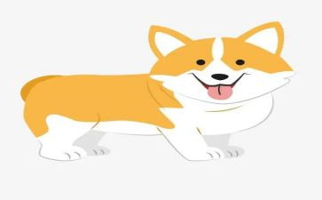犬只宣传工作总结推荐6篇