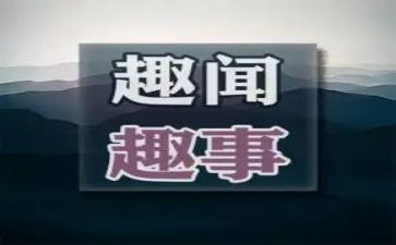 暑假趣事400字优秀作文6篇