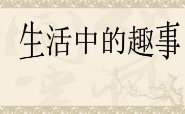 中秋节趣事作文300字8篇