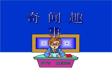 猫的趣事作文300字5篇