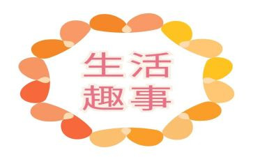 猫的趣事作文600字最新5篇