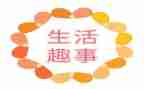 猫的趣事作文600字最新5篇