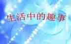 国庆趣事作文500字6篇