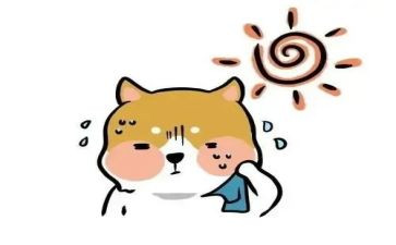 高考热点素材作文7篇