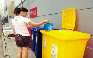 校园扔垃圾活动总结最新7篇