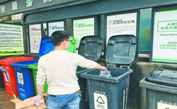 关于扔垃圾的调查报告7篇