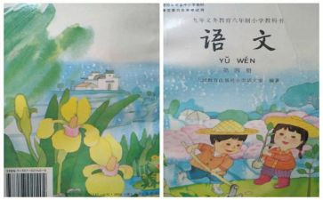 幼儿园个人教育教学总结参考6篇