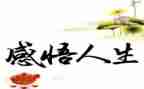 人生感悟作文600字7篇