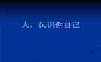 认识数字8中班教案5篇