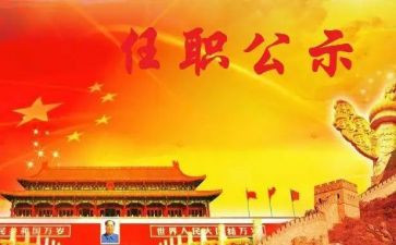 现任职来工作总结优质8篇