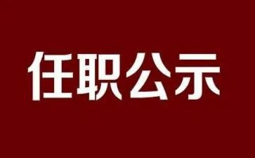 教师任职个人总结5篇