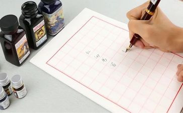 日记心得体会500字7篇