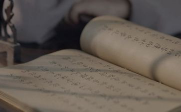 桥读后感日记300字8篇